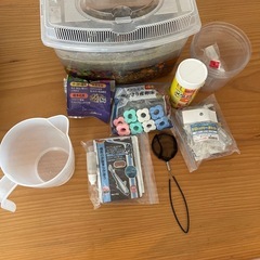 メダカ飼育セットの画像