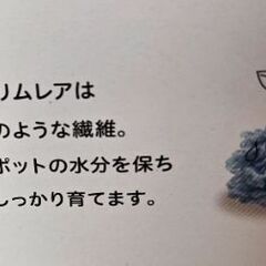 土なしで育つ！菜園セットの画像