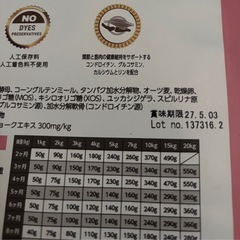 エルモ　幼犬　パピードックフードの画像