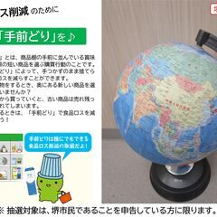 【堺市民限定】(2511-54) 地球儀の画像