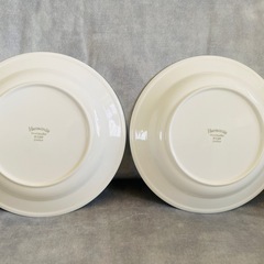 ペア大皿プレート　ハンドペインティングの画像