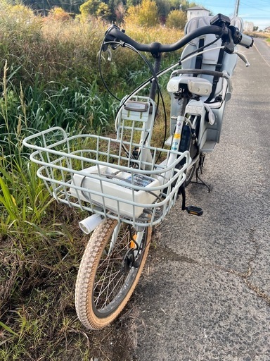 名古屋市内お届け無料20インチ2人乗り自転車電動アシスト