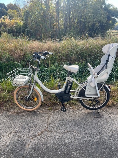 名古屋市内お届け無料20インチ2人乗り自転車電動アシスト