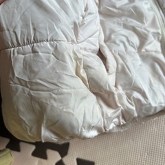 Petit main  110の画像