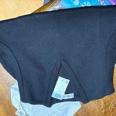 城北中のニットベスト　メンズL 未使用の画像