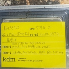 D,Hヘラクレス 大型血統
幼虫 173×71の画像