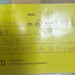 D,Hヘラクレス 大型血統
幼虫 173×71の画像