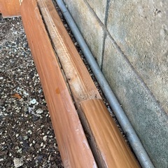 北山绞丸太木の画像