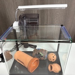 26cm水槽セット（フィルター・ソイル・ホース付き）の画像