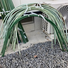 【相談中】園芸用支柱の画像