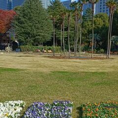 平日仕事帰り、もしくは土日祝