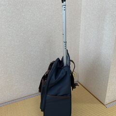 キャリーバッグ小の画像