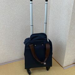 キャリーバッグ小の画像