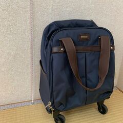 キャリーバッグ小の画像