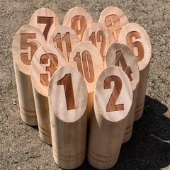 モルックの遊び仲間募集‼️