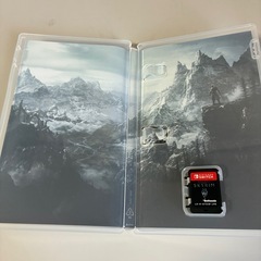 Skyrim switch版
の画像