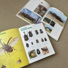 こども学習図鑑　スタディアの画像