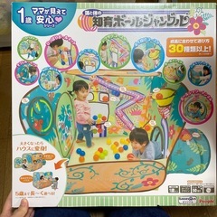 【現状品】トイザらス オリジナル 知育 ボールジャングル ボールプールの画像