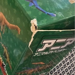 アニア　恐竜パークの画像