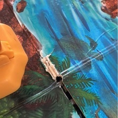 アニア　恐竜パークの画像