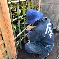 庭師見習い、植木職人募集の画像