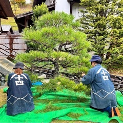 庭師見習い、植木職人募集の画像