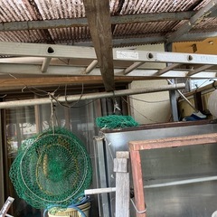 ハシゴ2〜3メートル？の画像