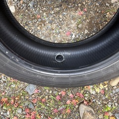 スタッドレスタイヤの画像