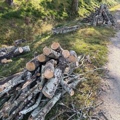 木材　材木　薪　木　無料の画像