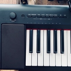 YAMAHA 61鍵盤キーボードNP-15Bの画像