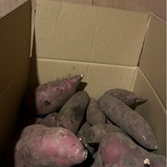 🍠サツマイモ🍠さつまいも🍠芋の画像
