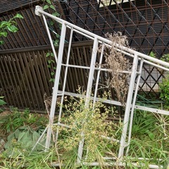 受け渡し者決定約2メートルくらいの脚立　の画像