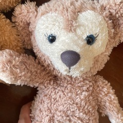 ダッフィー&シェリーメイ　ぬいぐるみの画像