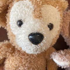 ダッフィー&シェリーメイ　ぬいぐるみの画像