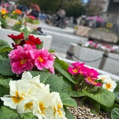 カメライベント📷