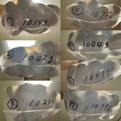 値下げ‼️
完全無農薬‼️キウイフルーツ1キロ以上②の画像