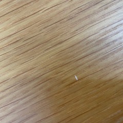 【無印良品】リビングでもダイニングでも使えるテーブルとイス2脚の画像