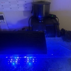 海水魚60cmガラス水槽セットの画像