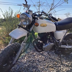 エイプ50 キャブ車　キットバイク　実働 の画像