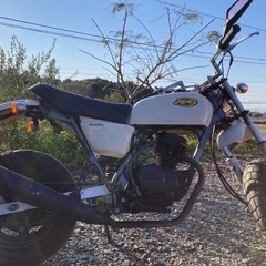 エイプ50 キャブ車　キットバイク　実働 の画像