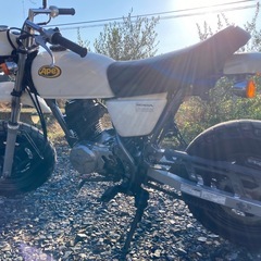 エイプ50 キャブ車　キットバイク　実働 の画像