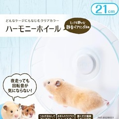 GEX ハーモニーホイール　21cmの画像