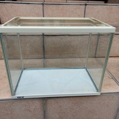 30センチ水槽の画像