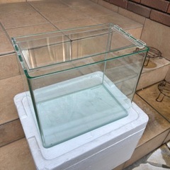 【決まりました】ガラス水槽　30センチの画像