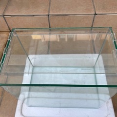 【決まりました】ガラス水槽　30センチの画像