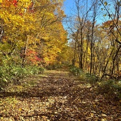 カフェとかお散歩とか小旅行しませんか？