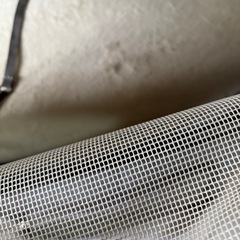 ペットリュック　2段式
の画像