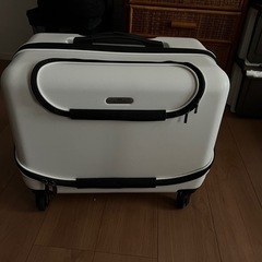 超美品　ペットキャリー　GEX   OSOTOローラーの画像