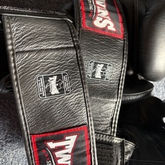 TWINS ボクシング　ムエタイ　グローブの画像