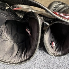 TWINS ボクシング　ムエタイ　グローブの画像